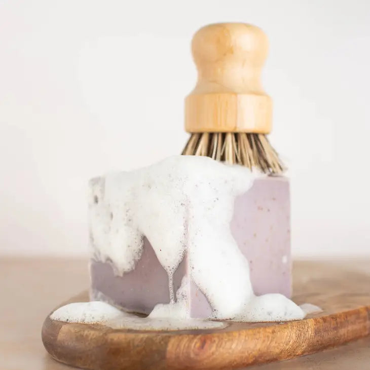 Solid Dish Soap
