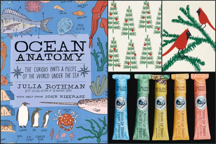 Holiday Gift Picks That Help the Ocean - Treehugger